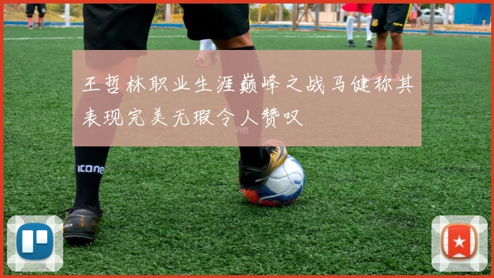 王哲林职业生涯巅峰之战马健称其表现完美无瑕令人赞叹